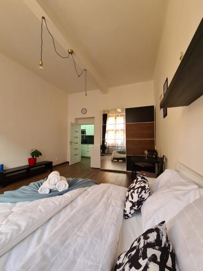 Svetly Prostorny Byt V Karline Apartment Prague Exterior photo